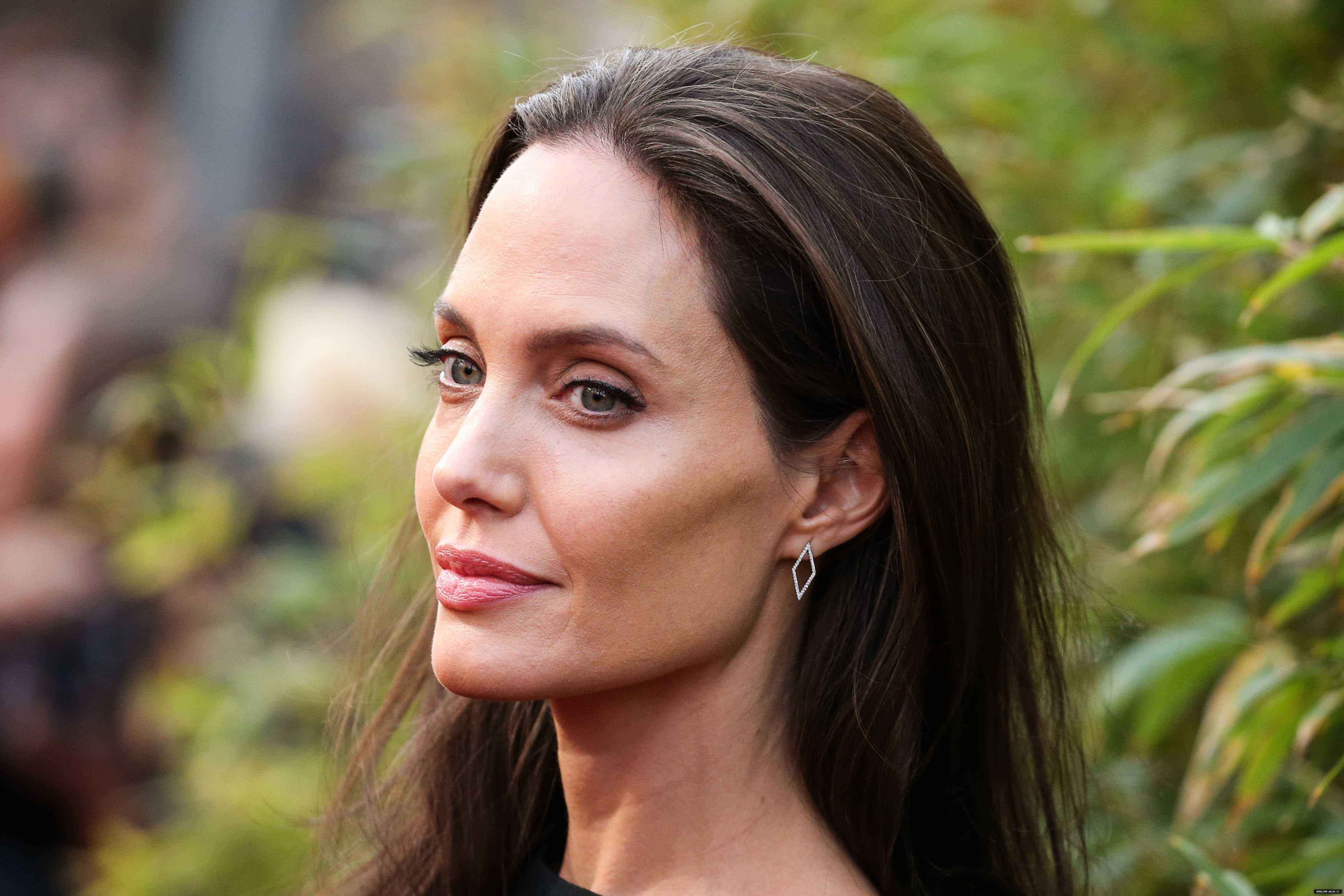 Анджелина джоли зодиак. Джоли. Angelina Jolie. Джоли цвет волос. Джоли в молодости.